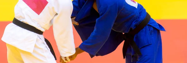Beyaz Mavi Üniformalı Iki Judo Dövüşçüsü Profesyonel Spor Konsepti Yatay — Stok fotoğraf