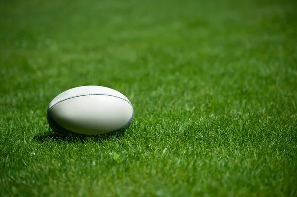 Rugby Ball Grass Stadium Professional Sport Concept — Stock Photo, Image