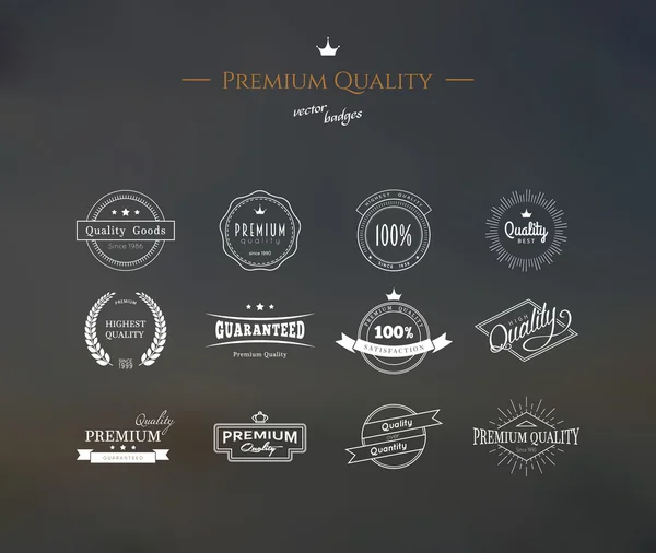 Jeu de labels de qualité Premium — Image vectorielle