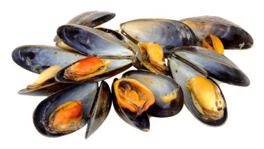 Yeni pişirilmiş midye