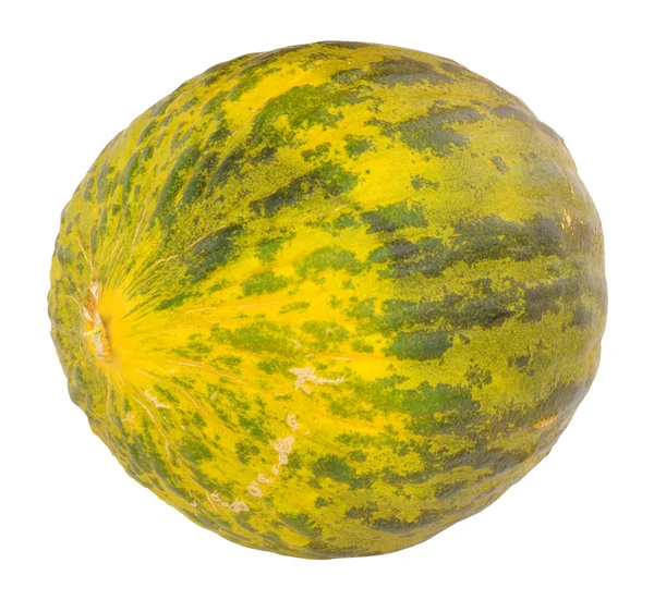 Piel de Sapo Melone — Stockfoto