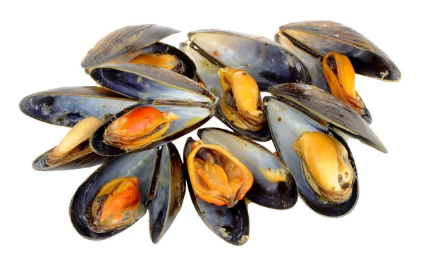 Mejillones recién cocidos —  Fotos de Stock