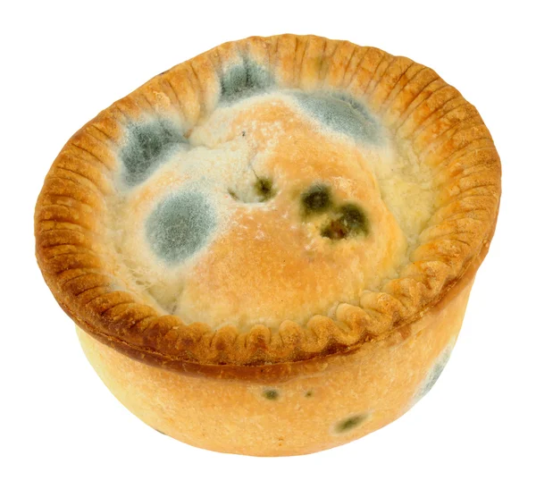 Mouldy Meat Pie — Stock Photo, Image