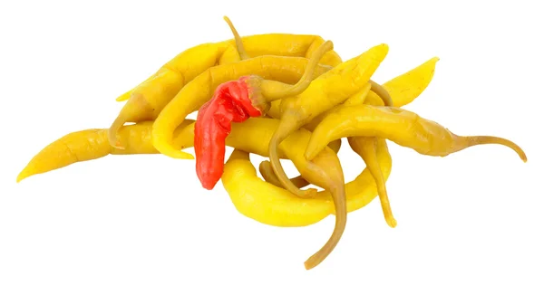 Gruppe scharfer eingelegter Paprika — Stockfoto