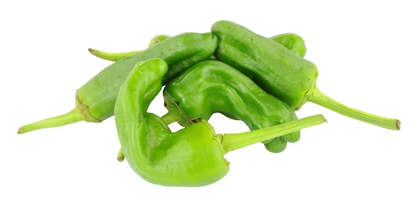 Mediterranean Padron Peppers — Stock Photo, Image