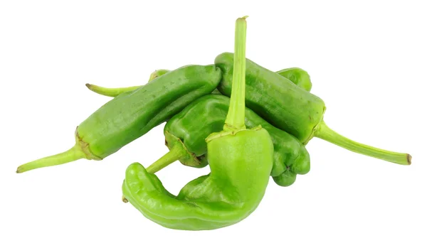 Středomořské Padrón Peppers — Stock fotografie