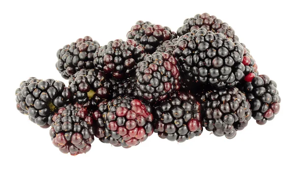 Moras maduras frescas jugosas — Foto de Stock