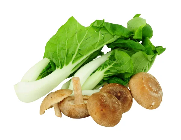 新鲜切碎的泡菜 大白菜和芝麻蘑菇 背景为白色 — 图库照片