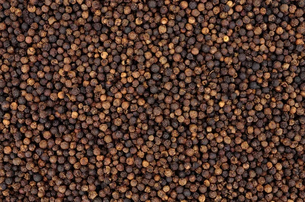 Whole Dried Black Peppercorn Spice Seasoning Background — Stock Photo, Image