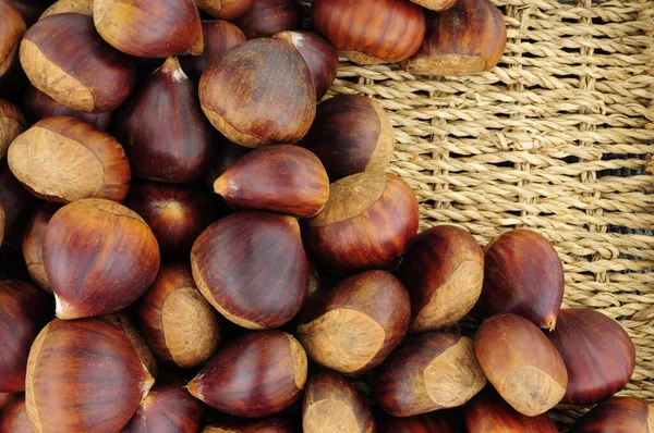 Fresh Ripe Uncooked Spanish Chestnuts Shells Background — Stock Photo, Image