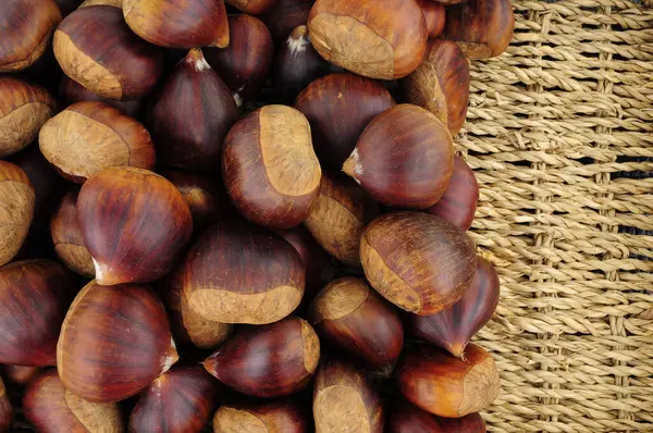 Fresh Ripe Uncooked Spanish Chestnuts Shells Background — Stock Photo, Image