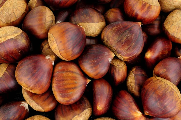 Fresh Ripe Uncooked Spanish Chestnuts Shells Background — Stock Photo, Image