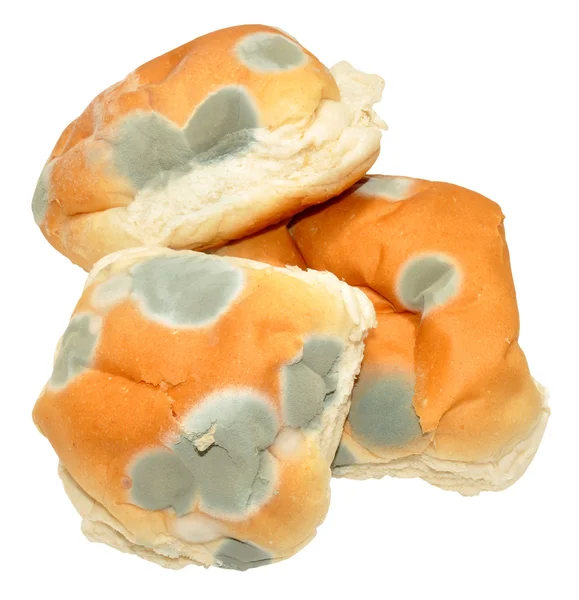 Mouldy Bread Rolls — Stock Photo, Image