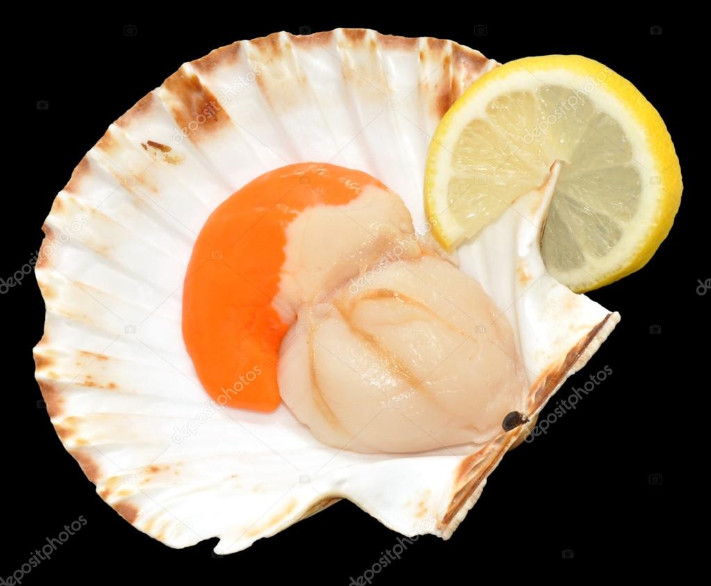 Raw King Scallop Clam — Stock Photo © philkinsey #56269435