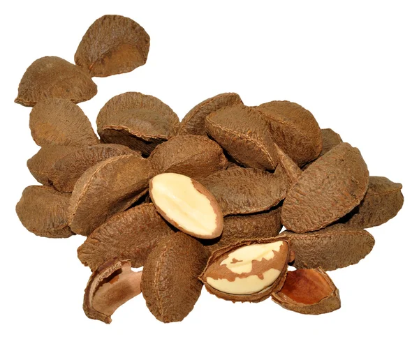Para ořechy ve skořápce — Stock fotografie