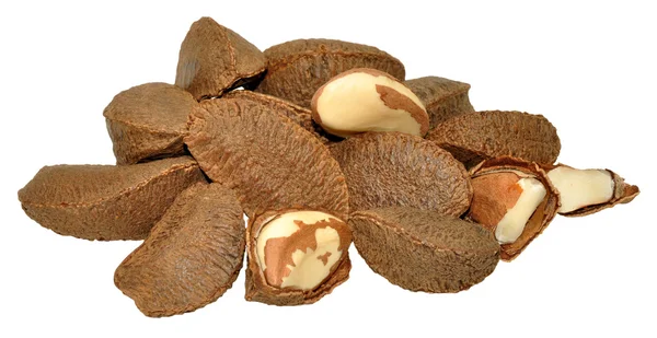Бразильские орехи в ракушках — стоковое фото