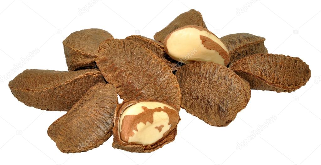 Brazil Nuts In Shells