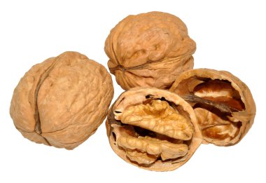 Cevizler beyaz üzerine izole