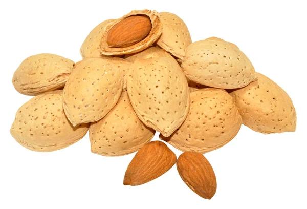 Almond Nuts — Stock Photo, Image