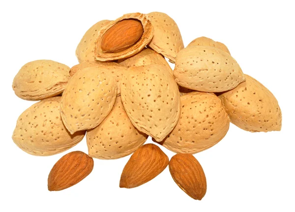 Kacang almond — Stok Foto