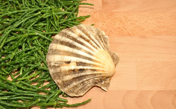 Fresh Marsh Samphire — Stock Photo, Image