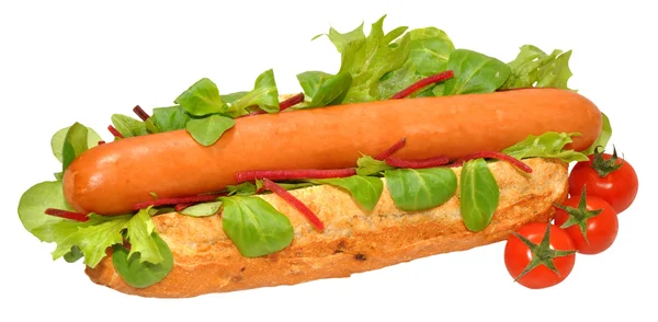 A Single Hot Dog — Stock Photo, Image