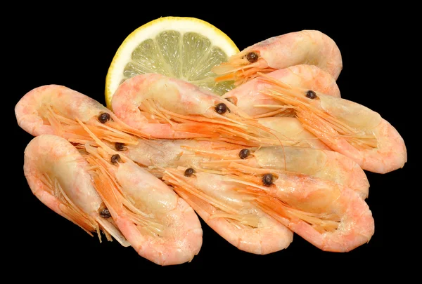 煮熟冷水虾 — 图库照片