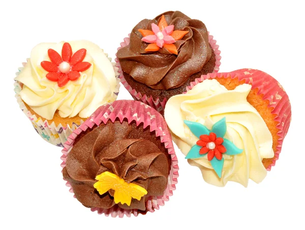 Chocolate And Vanilla Cupcakes — Stock Photo, Image