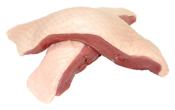 RAW anka bröst kött — Stockfoto