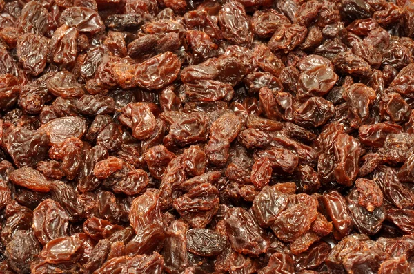 Sun Dried Raisin Background — Stock Photo, Image