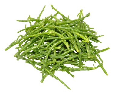 Taze Marsh Samphire