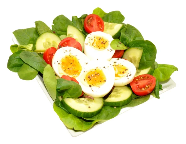 Telur segar Dan Tomat Salad Bowl — Stok Foto
