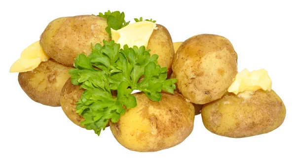 Nieuwe gekookte aardappelen — Stockfoto