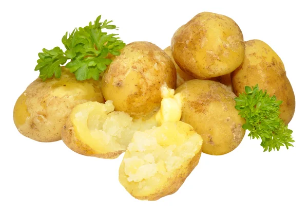 Patatas nuevas hervidas — Foto de Stock