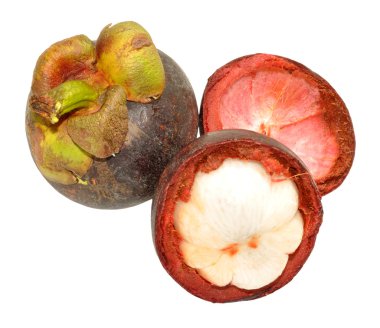 taze mor mangosteen