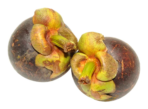 Verse paarse mangosteen — Stockfoto