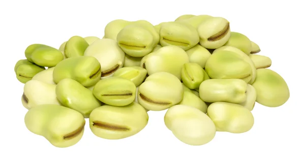 Raw Uncooked Fresh Broad Beans — Stock Photo, Image