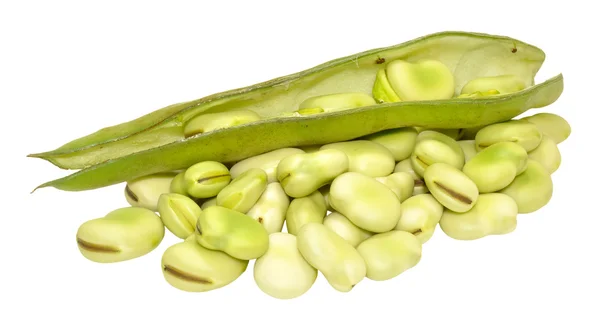 Raw Uncooked Fresh Broad Beans — Stock Photo, Image