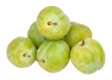 Greengage Plums clipart