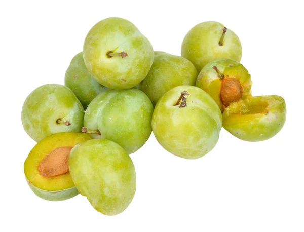 Greengage 매 — 스톡 사진