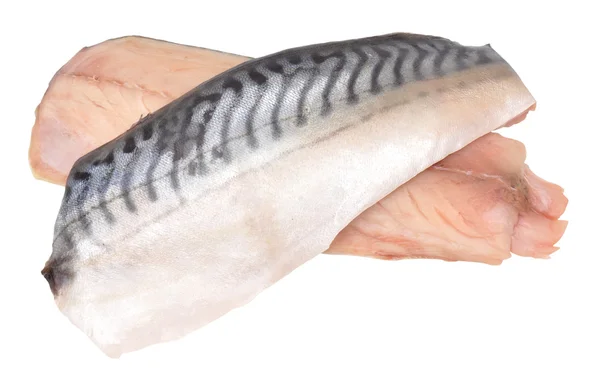 Raw Mackerel Fish Fillets — Stock Photo, Image