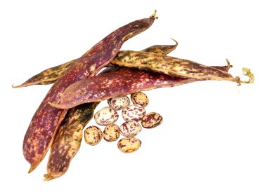 borlotti fasulye ve bakla