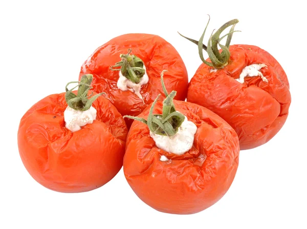 Rotten Mouldy Tomatoes — Stock Photo, Image