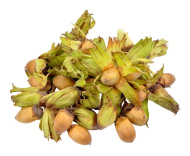 cobnuts göl kenarında beyaz