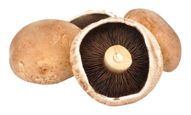 Large portobello Mushrooms clipart