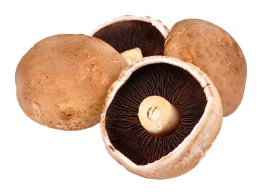 Büyük portobello mantar