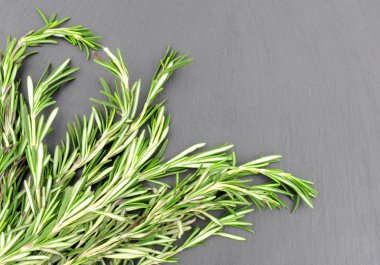 Biberiye bitki arduvaz arka plan üzerinde