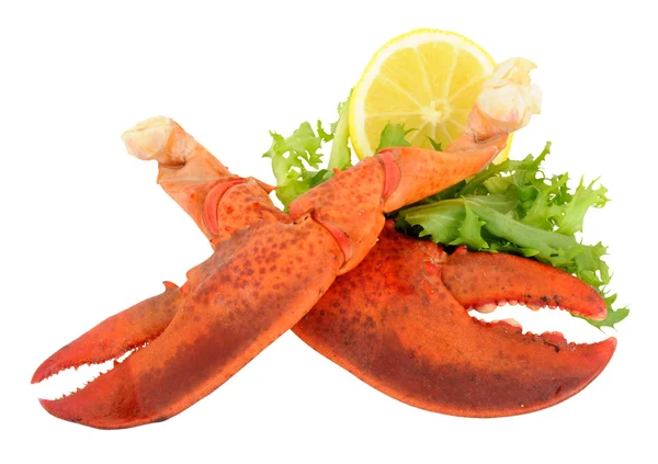 Freshly Cooked Pink Lobster Claws — Stock Photo, Image