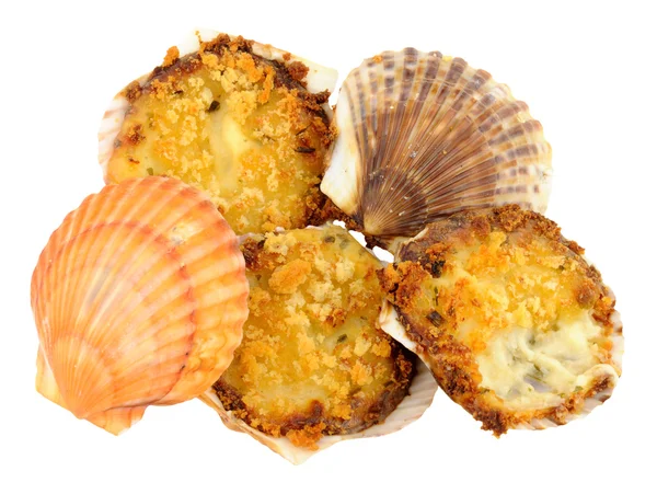 Coquilles st jacques —  Fotos de Stock