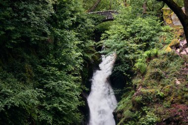 İngiltere 'nin Göl Bölgesi' nde Ullswater yakınlarındaki bir şelale olan Aira Force 'un manzarası